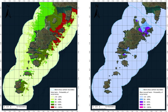 Blue carbon habitat suitability assessments in Scotland as part of ...